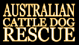 acd link