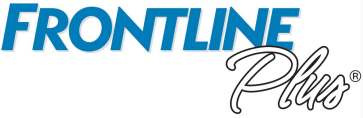 frontline