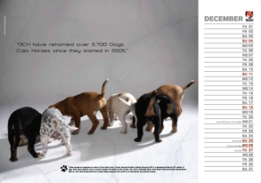 calendarpic2011