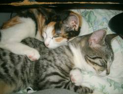 bematogether