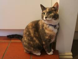 duchess0002