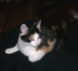 Lily