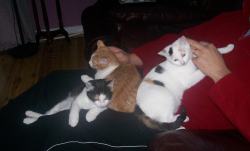 The Group