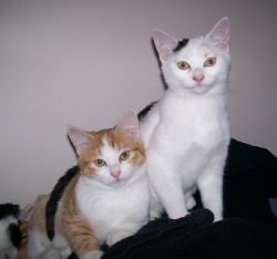 Maxine & Ruby