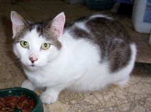 tiggy