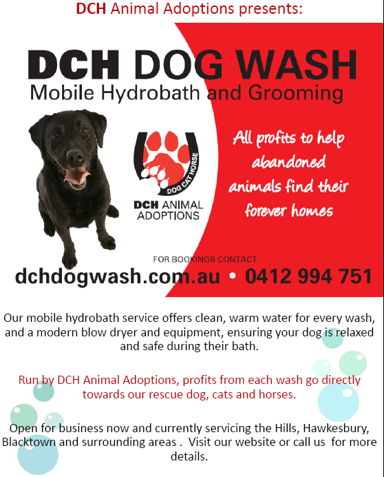 dogwash